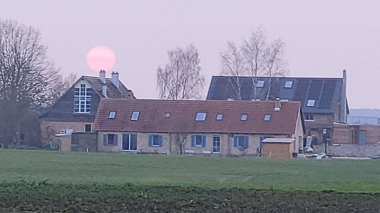 Ganze Ferienwohnung, Ferienwohnung für 6 Personen (70 m²) in Boitzenburger Land in Hardenbeck, Boitzenburger Land