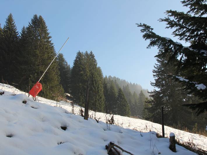 Gîte pour 3 personnes, avec terrasse et jardin dans Canton de Vaud - 2
