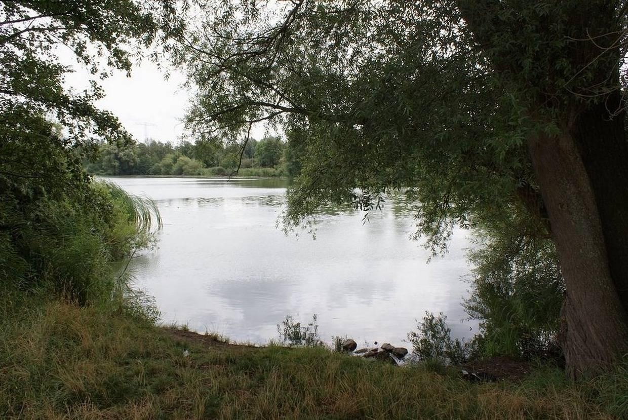 Ganze Ferienwohnung, Am Jungfernteich mit Kajak in Wismar, Nordwestmecklenburg (Wismar und Umgebung)