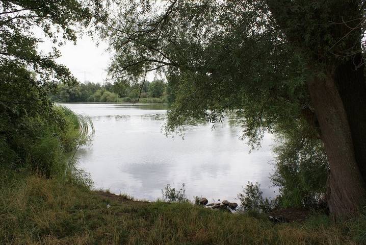 Ganze Ferienwohnung, Am Jungfernteich mit Kajak in Wismar, Nordwestmecklenburg (Wismar und Umgebung)