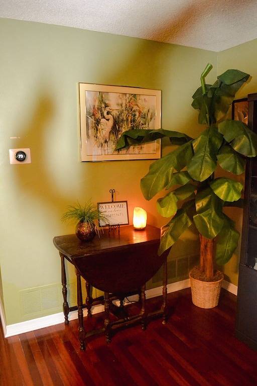 Vacation rental for 6 people, with terrace and yard, with pets in Largo