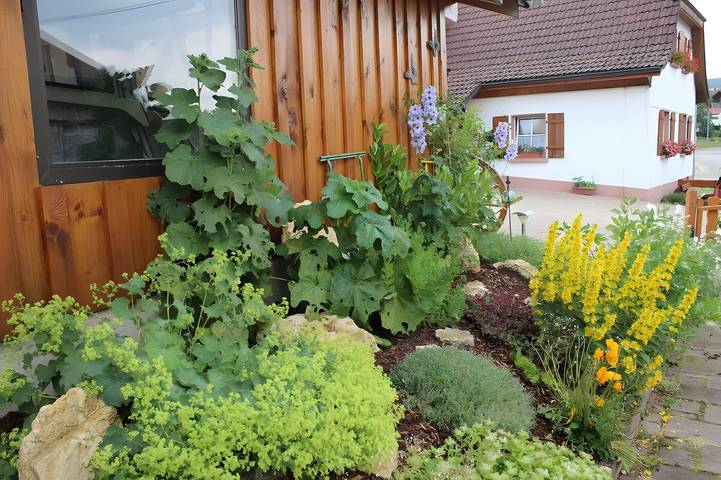 Lodge for 5 people, with Garden in 