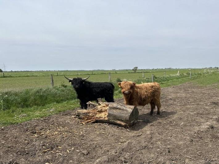 Ferienwohnung für 3 Personen, mit Balkon und Sauna in Langenhorn - 3