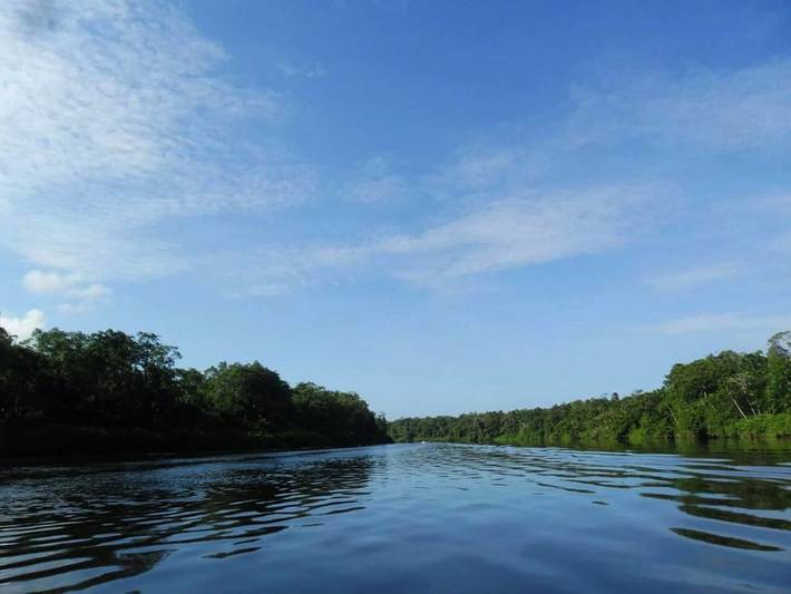 Gîte pour 4 personnes, avec jardin et vue dans Guyane française - 3