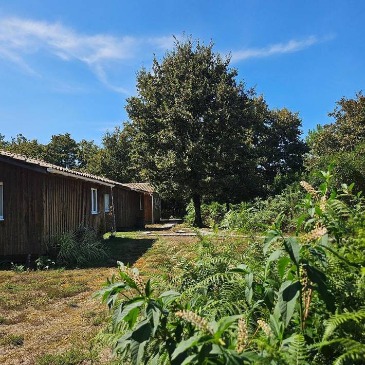 Gîte pour 4 personnes, avec terrasse à Gastes - 3