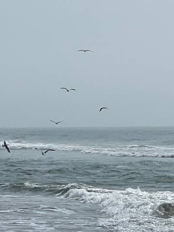 Vacation House for 10 Guests in Brigantine (NJ), Atlantic County, Picture 2