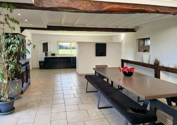 Location de vacances pour 16 personnes, avec vue et jardin, animaux acceptés à Montréjeau - 3