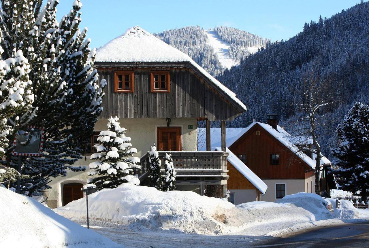 Three-Bedroom House in Rottenmanner und Wölzer Tauern, Hohentauern
