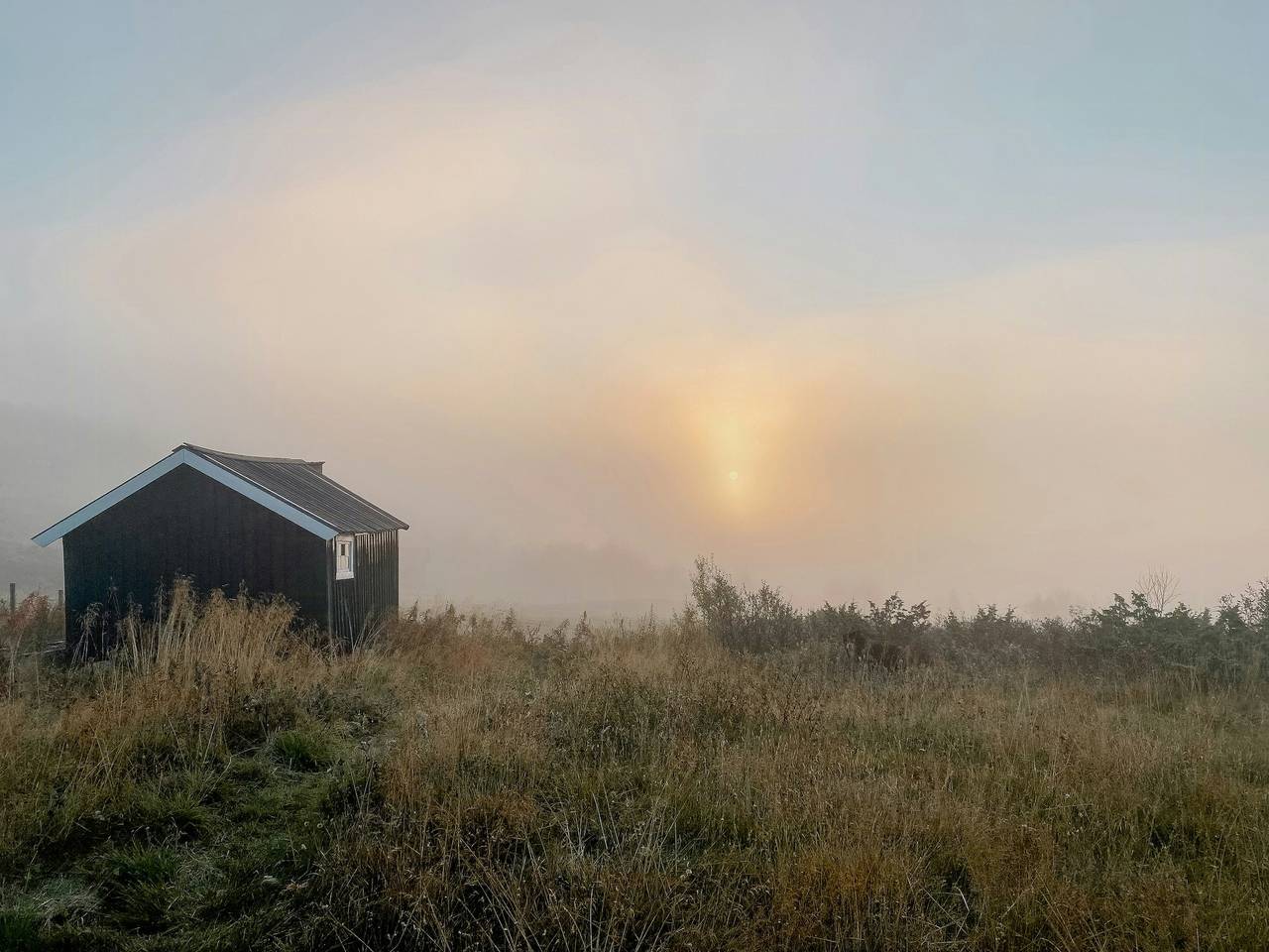 Traditionelle Berghütte im Hallingskarvet in Ål