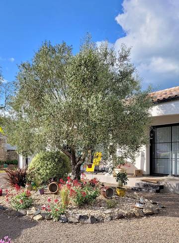 Chambre d’hôte pour 2 personnes, avec terrasse dans Fontenay-le-Comte