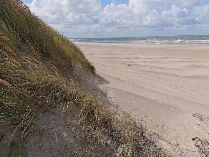 Ferienhaus für 5 Personen, mit Terrasse, mit Haustier in Vejers Strand - 4