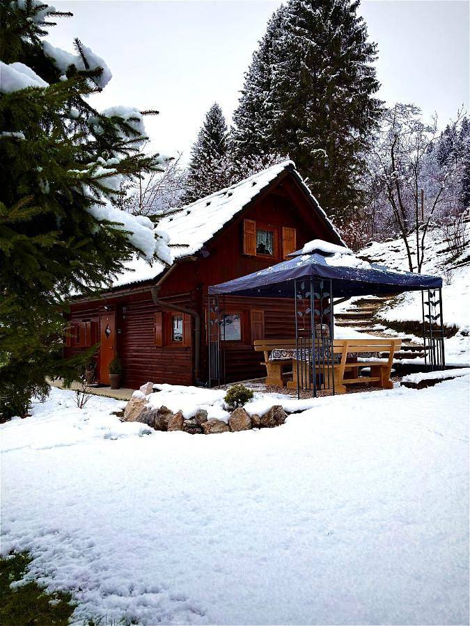 Dom dla 6 osób, z ogród i widok oraz taras w Kranjska Gora