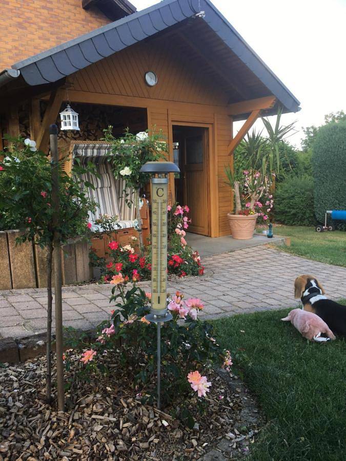 Ferienwohnung für 2 Personen, mit Terrasse und Pool in Sinzig - 2