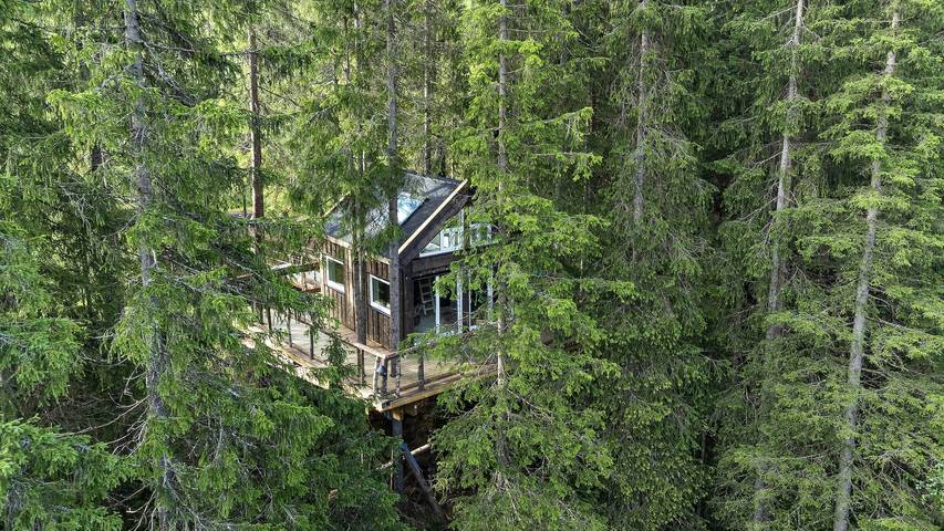 Ferienhaus für 7 Personen, mit Terrasse und Sauna, mit Haustier - 1