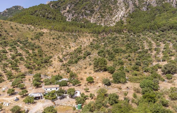 Casa para 8 personas en Grazalema