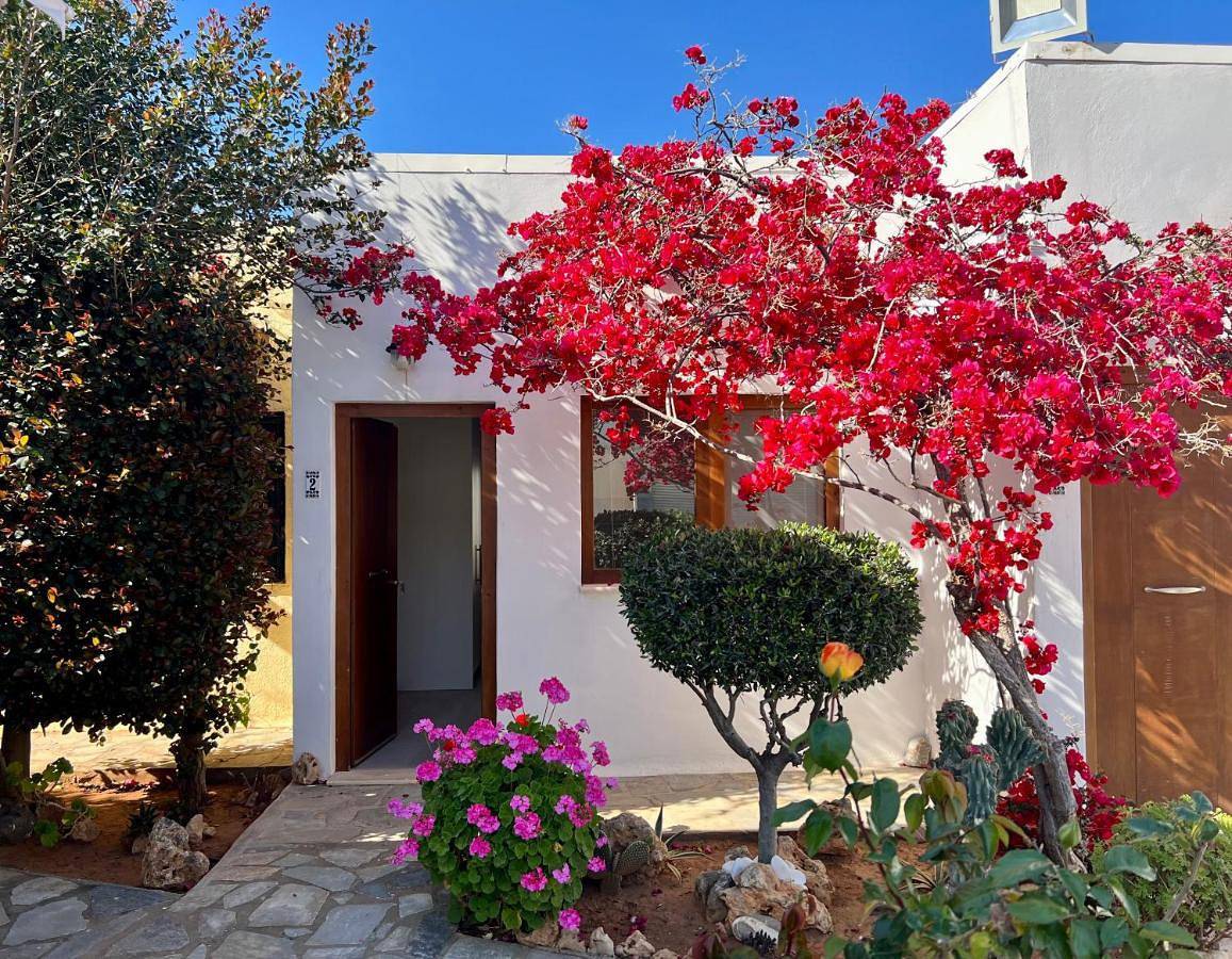Appartement entier, Standard Apartment in Stalída, Malia