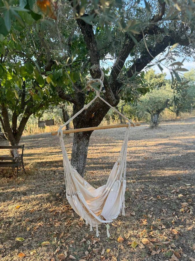 Casa Vacanze Podere Radici in Velletri, Castelli Romani