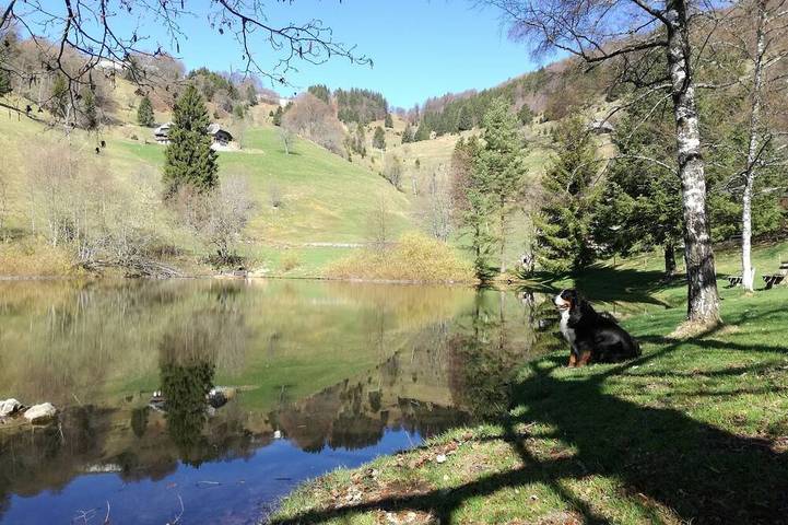 Gîte pour 2 personnes, avec jardin et balcon à Oberried - 4