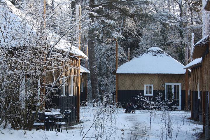 Ferienpark für 6 Personen in Drenthe