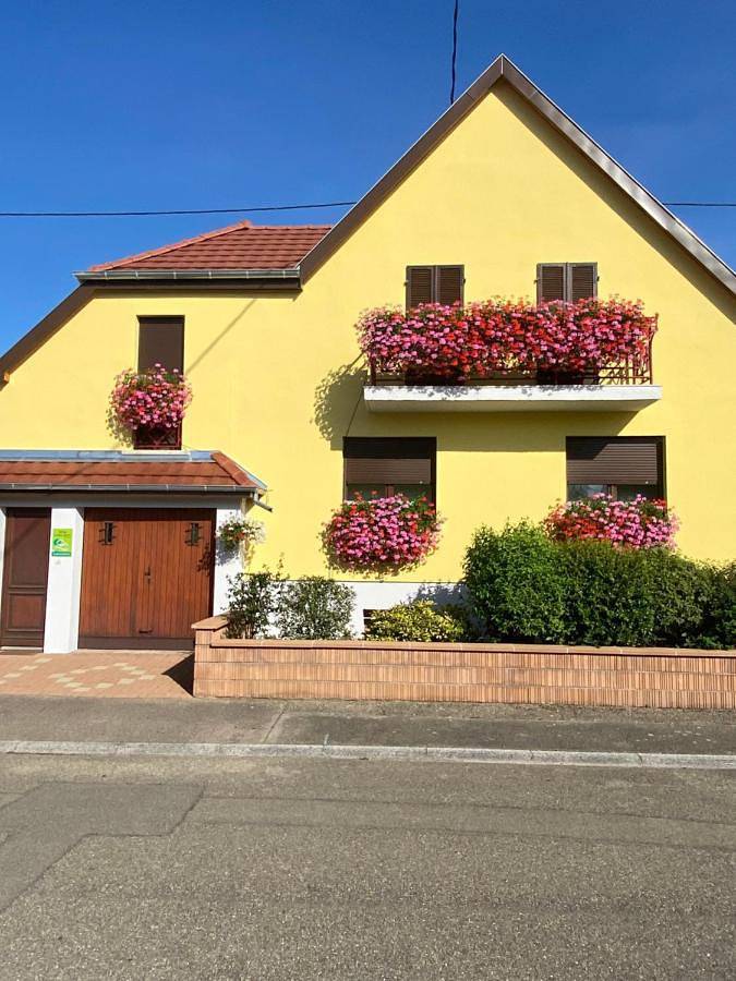 Gîte pour 4 personnes, avec Balcon et Terrasse ainsi que Jardin et Vue à Oberhergheim