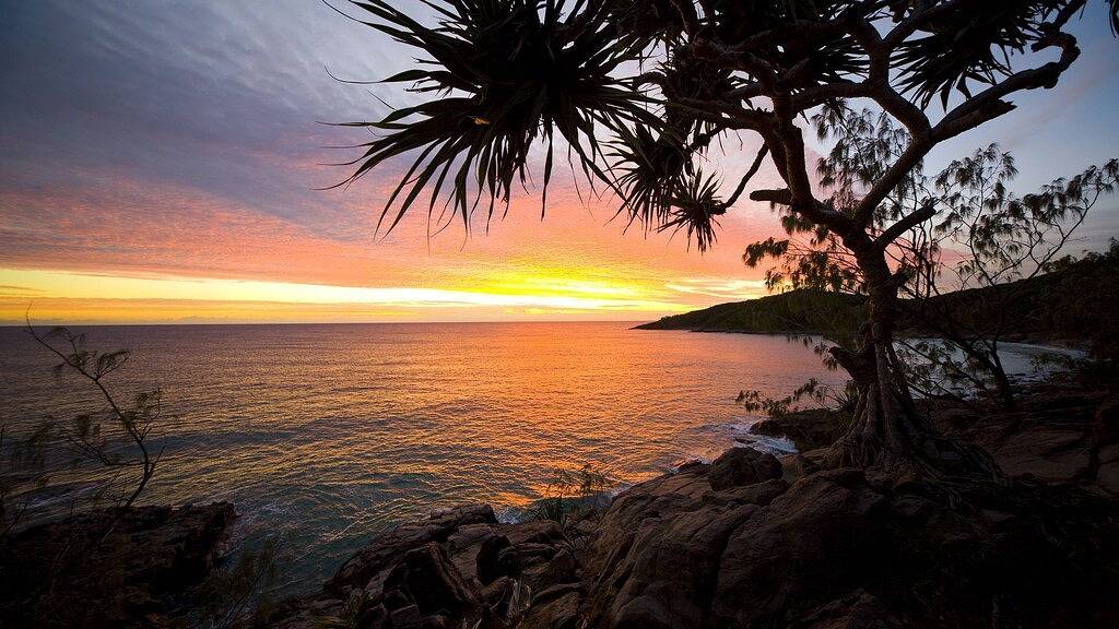 Architektonisch entworfenes Strandhaus, Strand und Geschäfte zu Fuß erreichbar in Sunshine Beach, Noosa