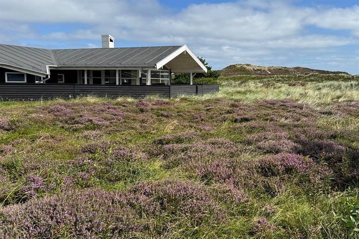 Ferieudlejning for 8 personer, med terrasse og sauna samt jacuzzi, husdyr tilladt i Henne Strand