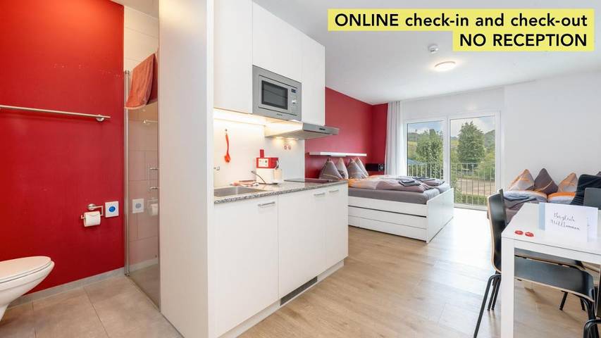Location de vacances pour 5 personnes, avec vue et balcon, animaux acceptés à Horw - 4