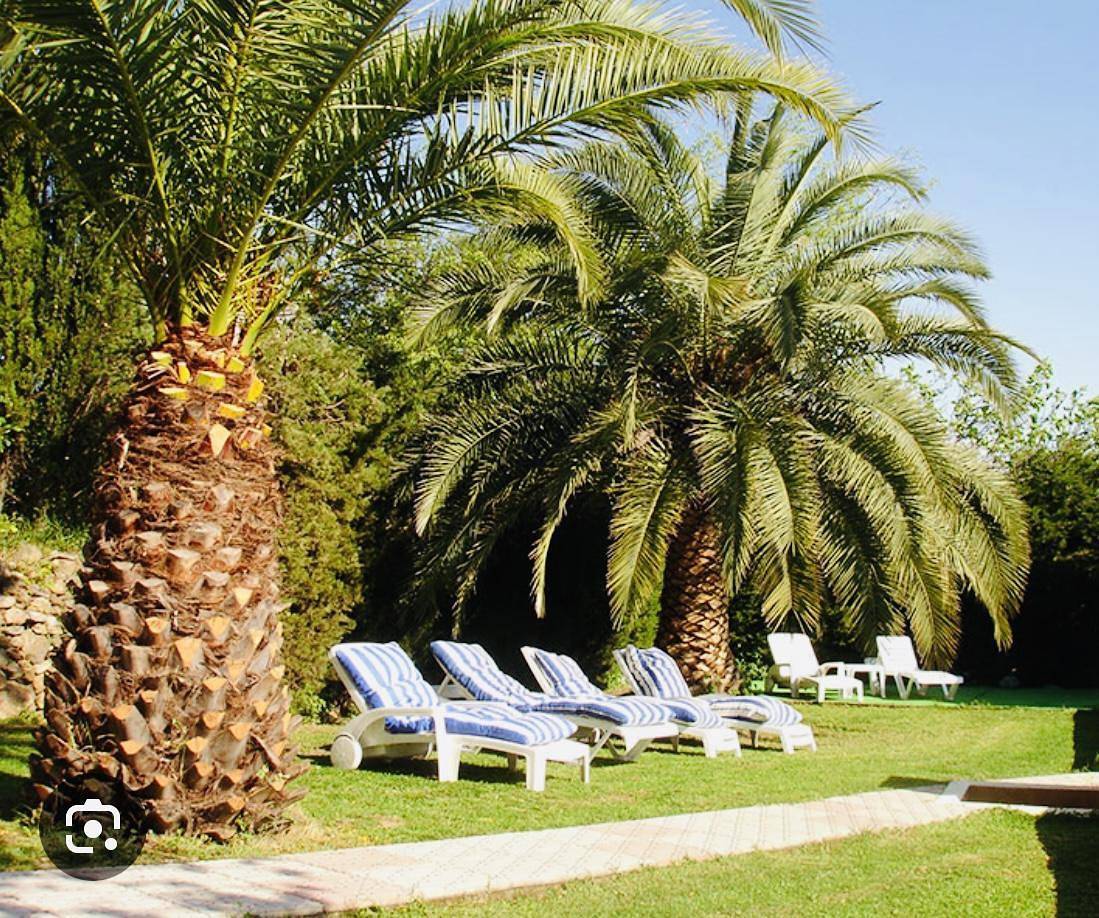 Gîte für 10 Personen mit Terrasse in Villelongue-dels-Monts, Céret und Umgebung