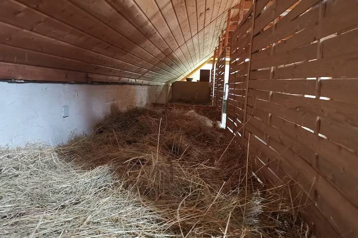 Bauernhof für 2 Personen, mit Garten im Lausitzer Seenland - 3