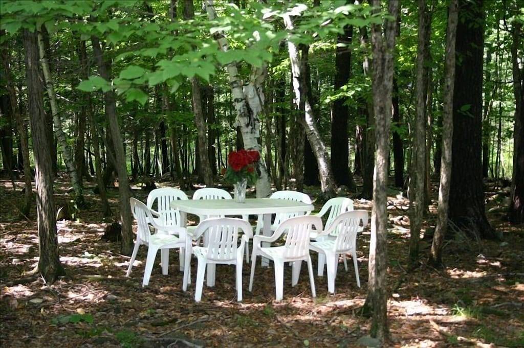 Gästehaus Catskill Mountains Hudson Valley Region $ 136 nt in Greene County (NY)