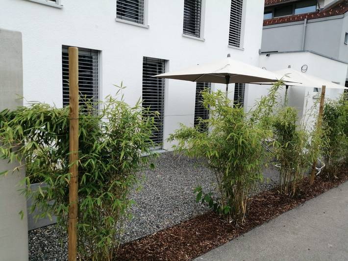 Entire studio, Studio Apartment 'Winter' with Private Terrace in Wasserburg (Bodensee), Bavarian Swabia