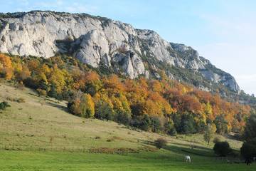 Location de vacances pour 2 personnes, avec jardin et piscine dans le Vercors