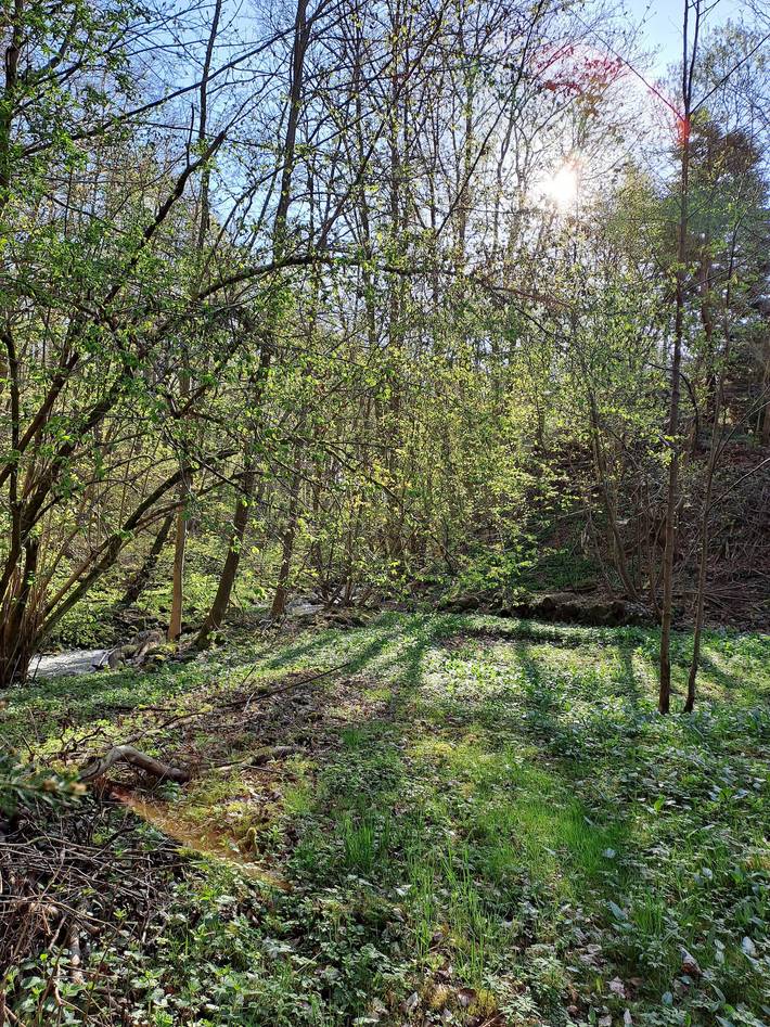 Ferienwohnung für 5 Personen, mit Garten im Westerwald - 2