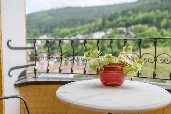 Gîte pour 2 personnes, avec balcon à Bad Wildbad - 4