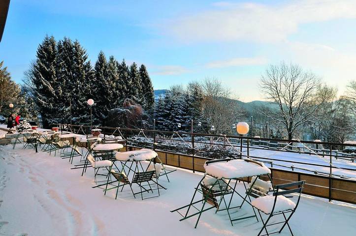 Parc de vacances pour 5 personnes, avec terrasse et vue ainsi que jardin et piscine en Alsace - 3