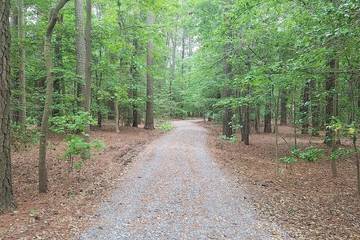 Vacation House for 10 Guests in Chesapeake Bay, Virginia, Picture 3