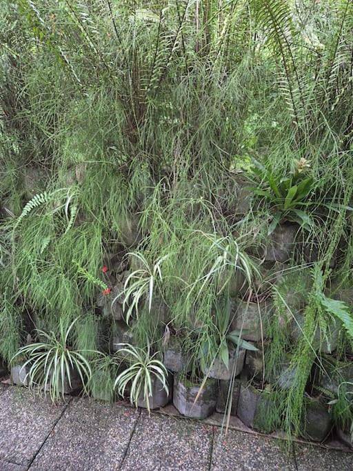 Location de vacances pour 2 personnes, avec jardin et piscine à Saint-Claude (Guadeloupe) - 3