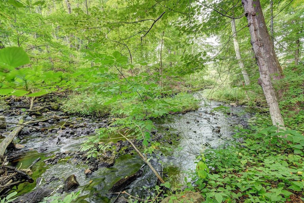 Wildlife Lakeside Cottage\nbeautiful views, amazing wildlife, great location in Lanesborough, Berkshire County