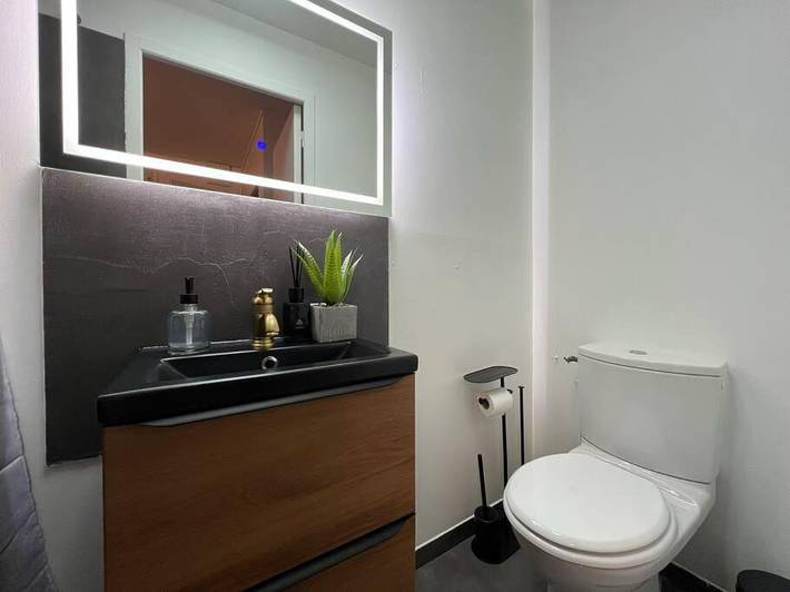 Gîte pour 2 personnes à Thomery - 4