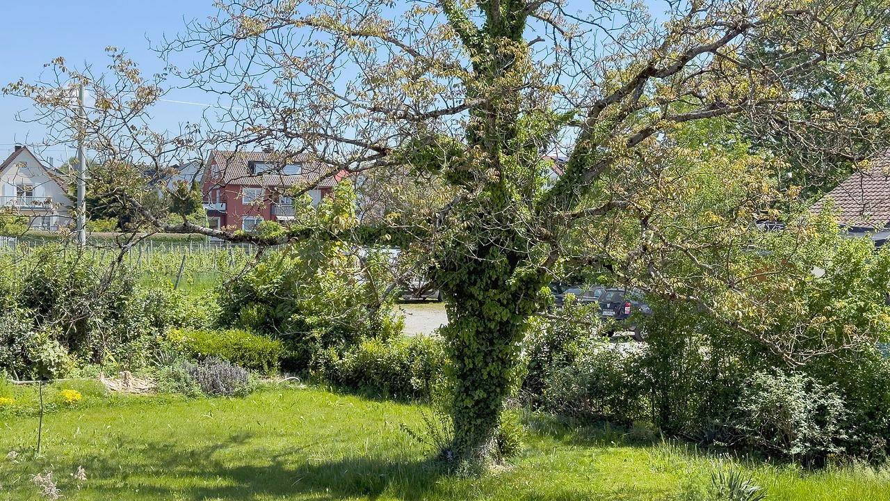 Geheel vakantieappartement, Vakantieappartement voor 3 personen in Nonnenhorn, Zwaben (Bayern)