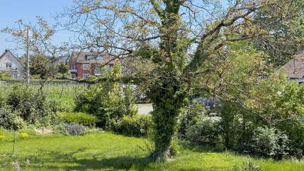 Apartament Wakacyjny dla 3 osoby w Nonnenhorn, Obersee (Bodensee), Zdjęcie 2