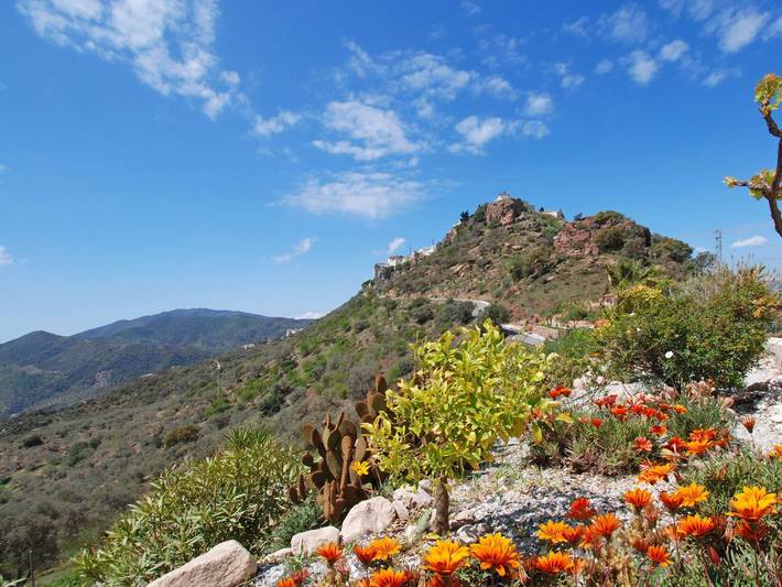 Ein Traumurlaub im Herzen von Andalusien. in Comares, Cordillera Penibética