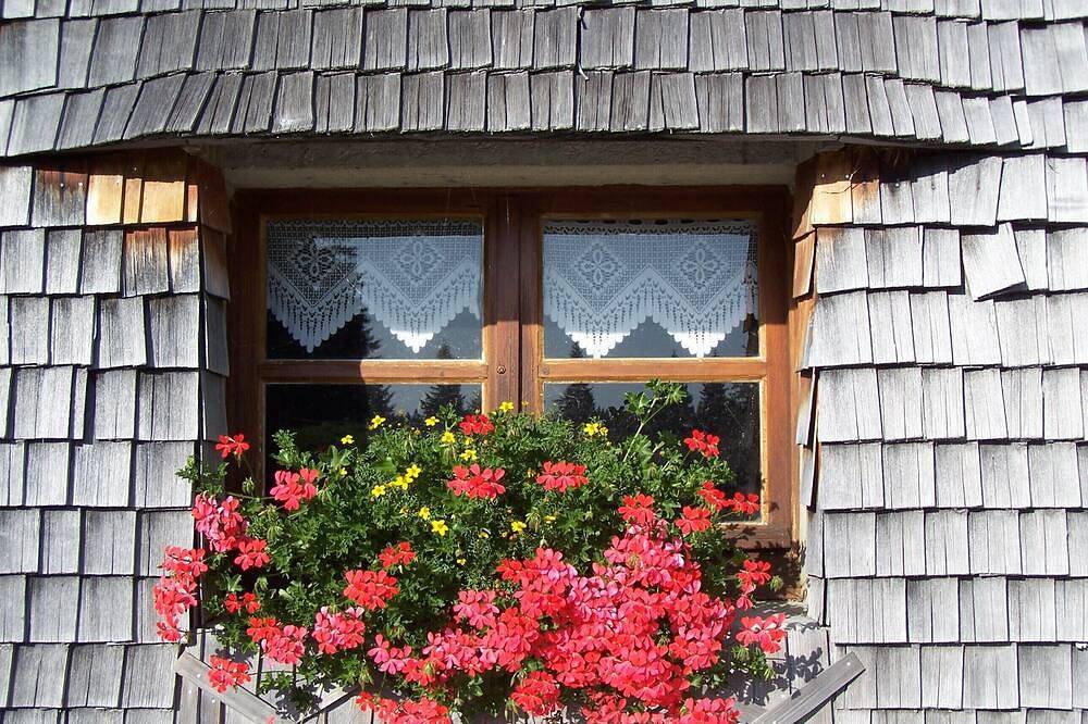 Gites 1 Chambre Pour 3 Personnes et Coin Salon Avec Banquette Convertible Pour 2 in Mouthe-Lac et Mont d’Or, Parc naturel régional du Haut-Jura