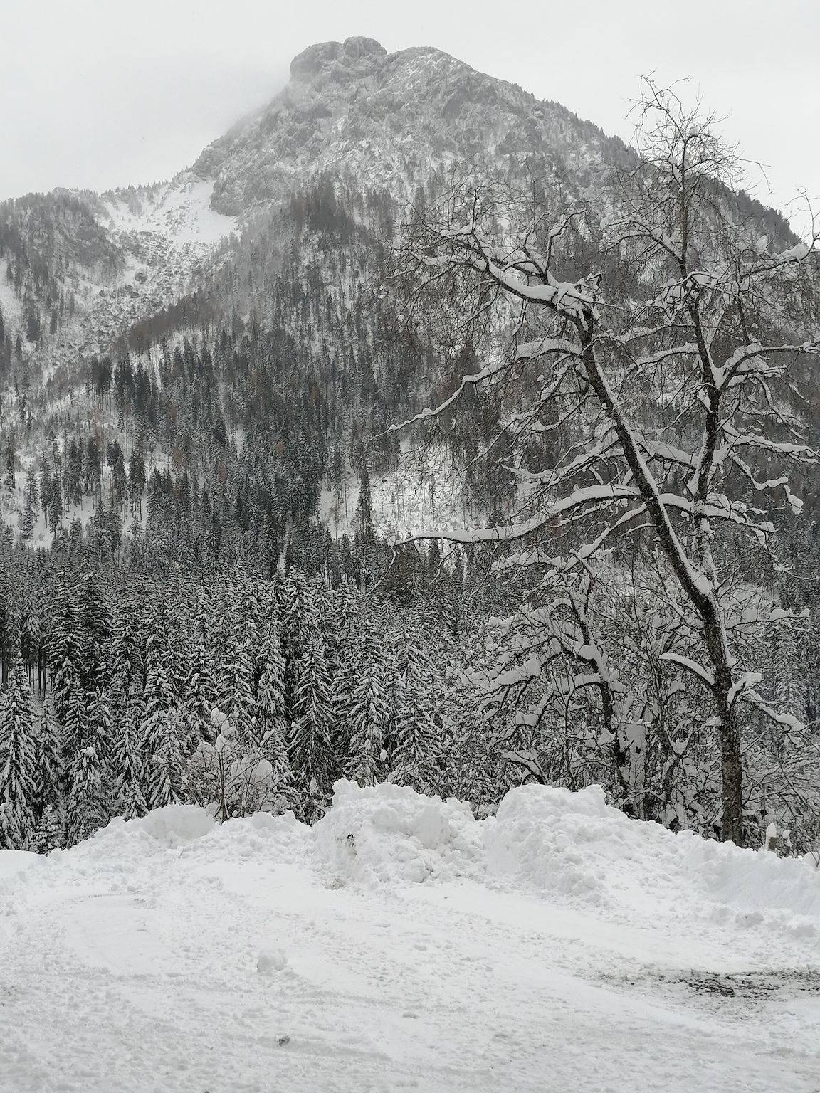 Geheel vakantieappartement, Appartement, douche of bad in Pinzgau