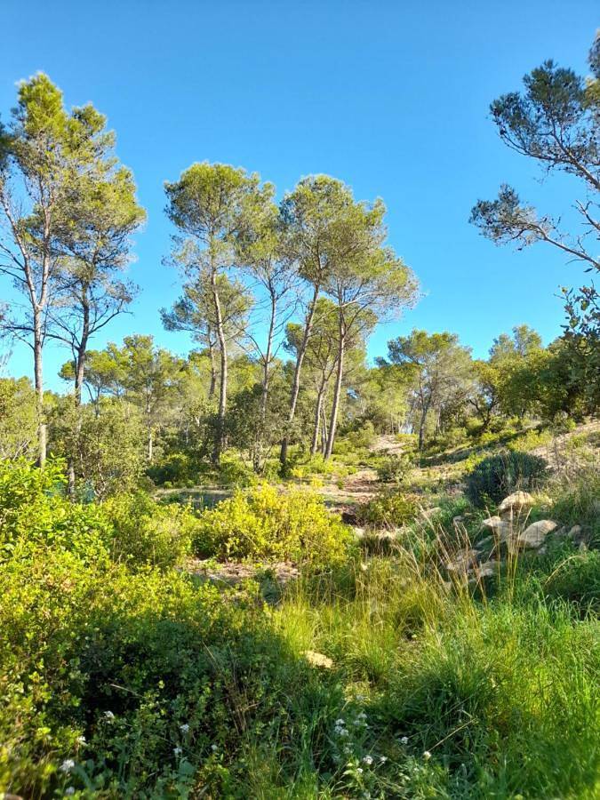 Appartement entier, Queen Studio in Langlade, Région de Nîmes