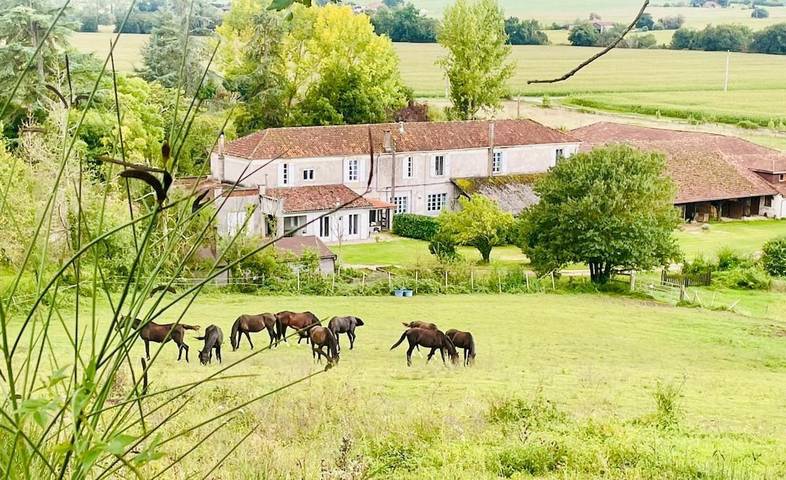 Gîte pour 4 personnes, avec Terrasse et Jacuzzi ainsi que Piscine et Vue à Saint-Michel (Gers)
