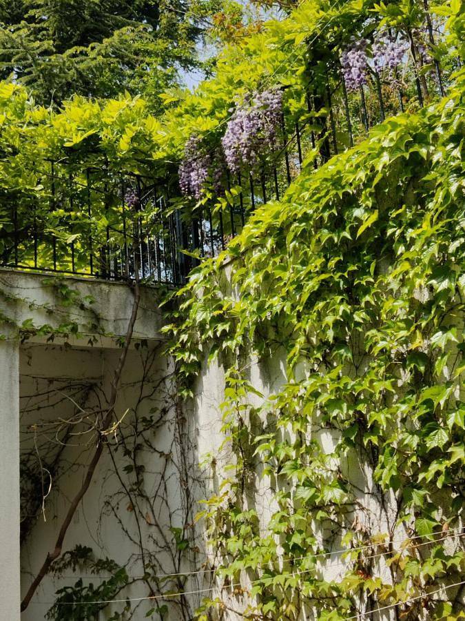 Deluxe Double Room with Balcony in Sopot (Bulgarie), Balkan Mountains
