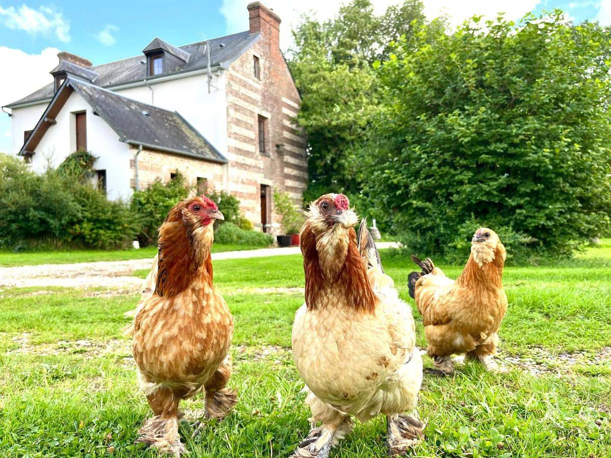 Le Petit Manoir de la Vernelle in Fourmetot, Région de Bernay