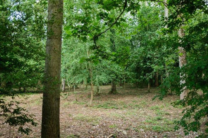 Gîte pour 4 personnes, avec terrasse ainsi que jardin et vue à Ducey - 2