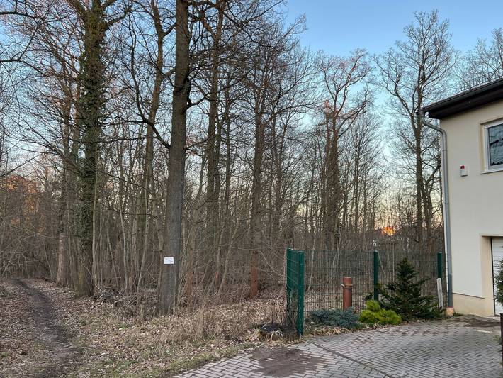 Ganze Ferienwohnung, Ferienhaus Waldblick in Harzgerode, Harzvorland